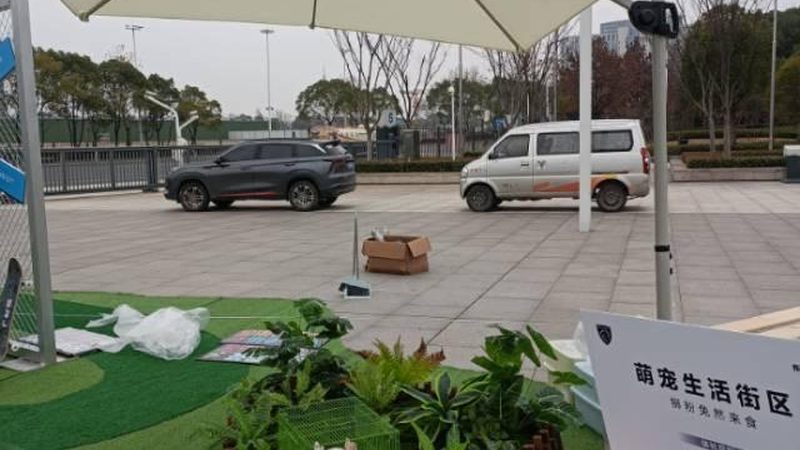 草坪慶典裝飾布藝面料推薦：如何選擇合適的材質與風格
